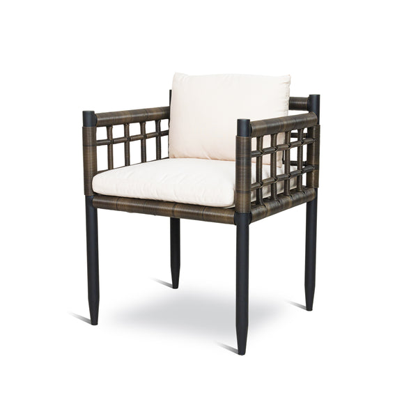 AVIVA DINING ARMCHAIR